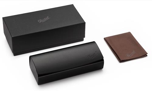 Persol case