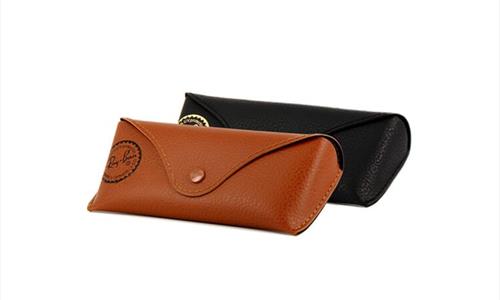 Ray Ban Case