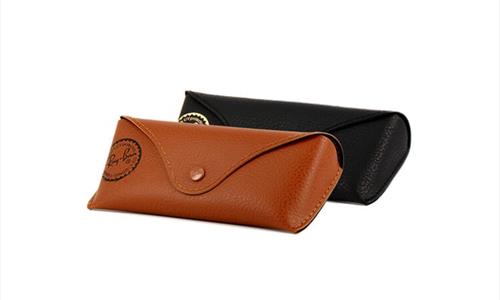RAY BAN CASE