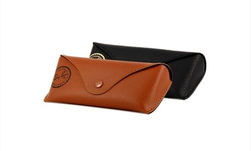 Ray Ban Case
