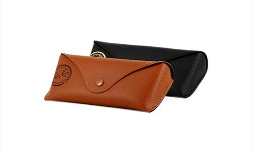 RAY BAN CASE