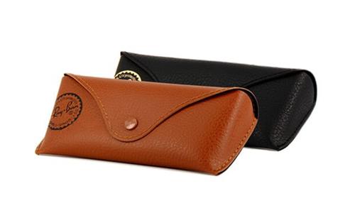 RAY BAN CASE