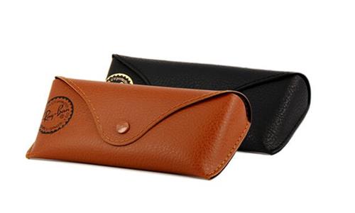 RAY BAN CASE