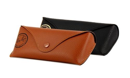 RAY BAN CASE