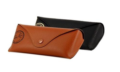 RAY BAN CASE