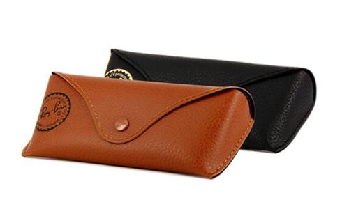 Ray Ban Case