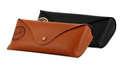 Ray Ban Case