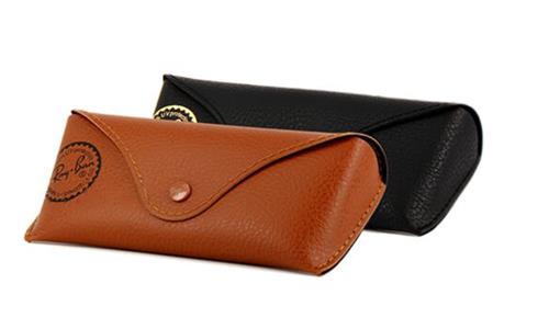 RAY BAN CASE