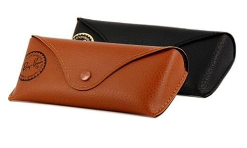 Ray Ban Case