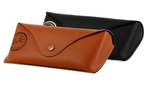 Ray Ban Case