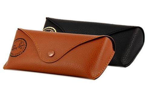 RAY BAN CASE
