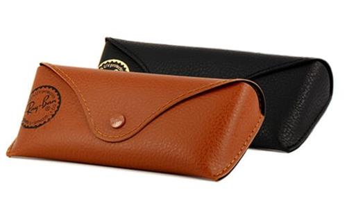 Ray Ban Case