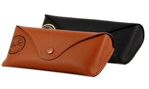 Ray Ban Case