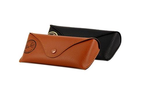 Ray Ban Case