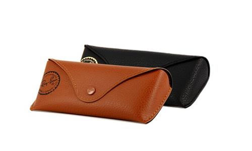 Ray Ban Case