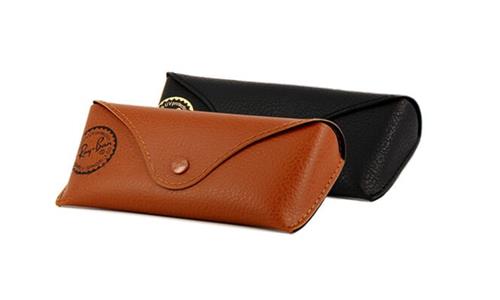 Ray Ban Case