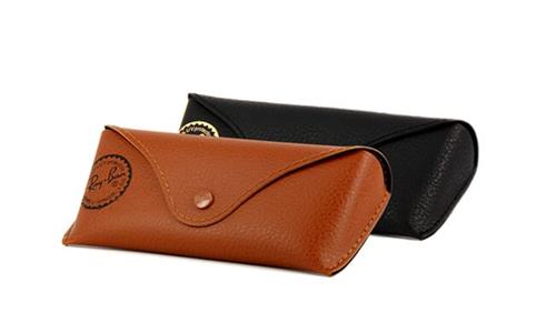 Ray Ban Case