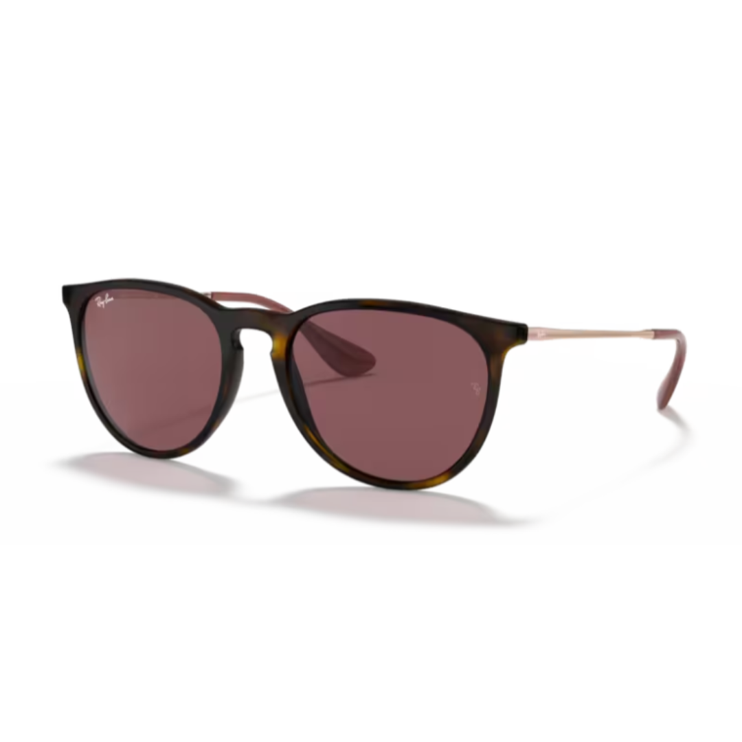 RAY-BAN RB 4171 639175 ERIKA SUNGLASSES