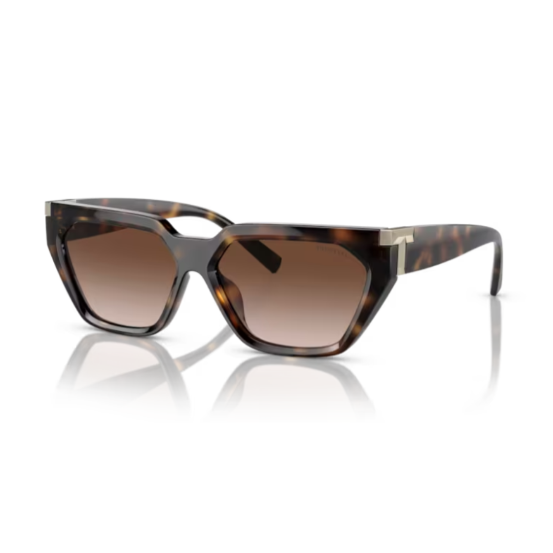 Tiffany & Co TF4205U 80153B Sunglasses