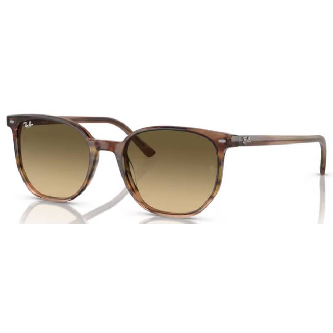 Ray Ban Elliot 2197 RB 13920A Striped Brown & Green / Brown Black Sunglasses