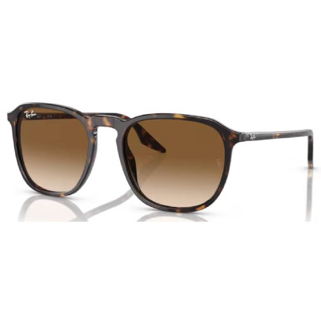 Ray Ban RB 2203 902/51 Havana / Brown Sunglasses