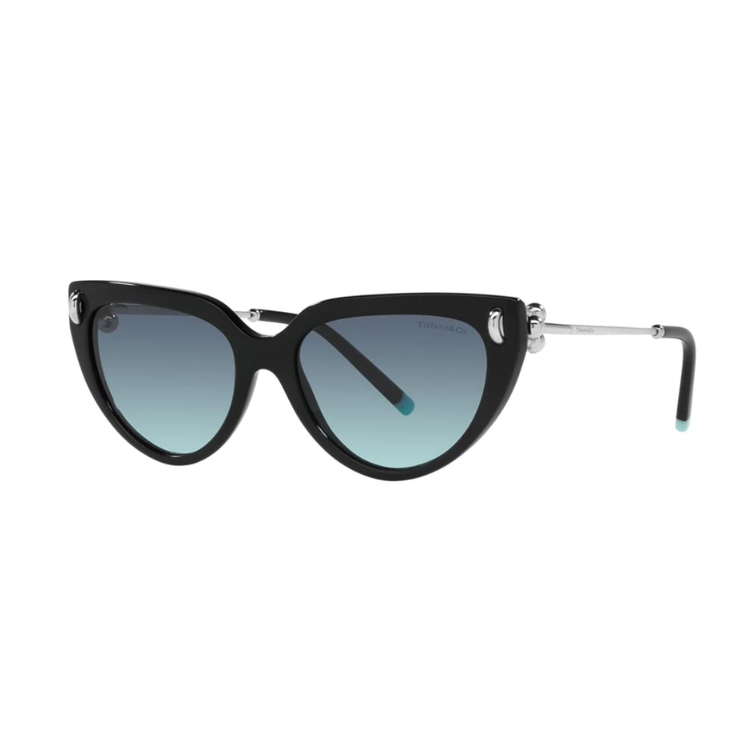 Tiffany & Co TF4195 80019S Sunglasses