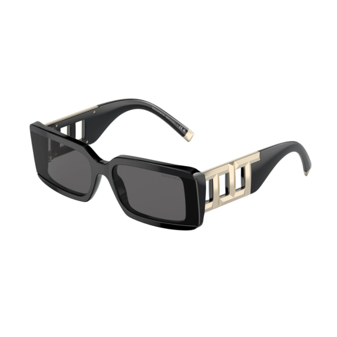 Tiffany & Co TF 4197 8001S4 Sunglasses