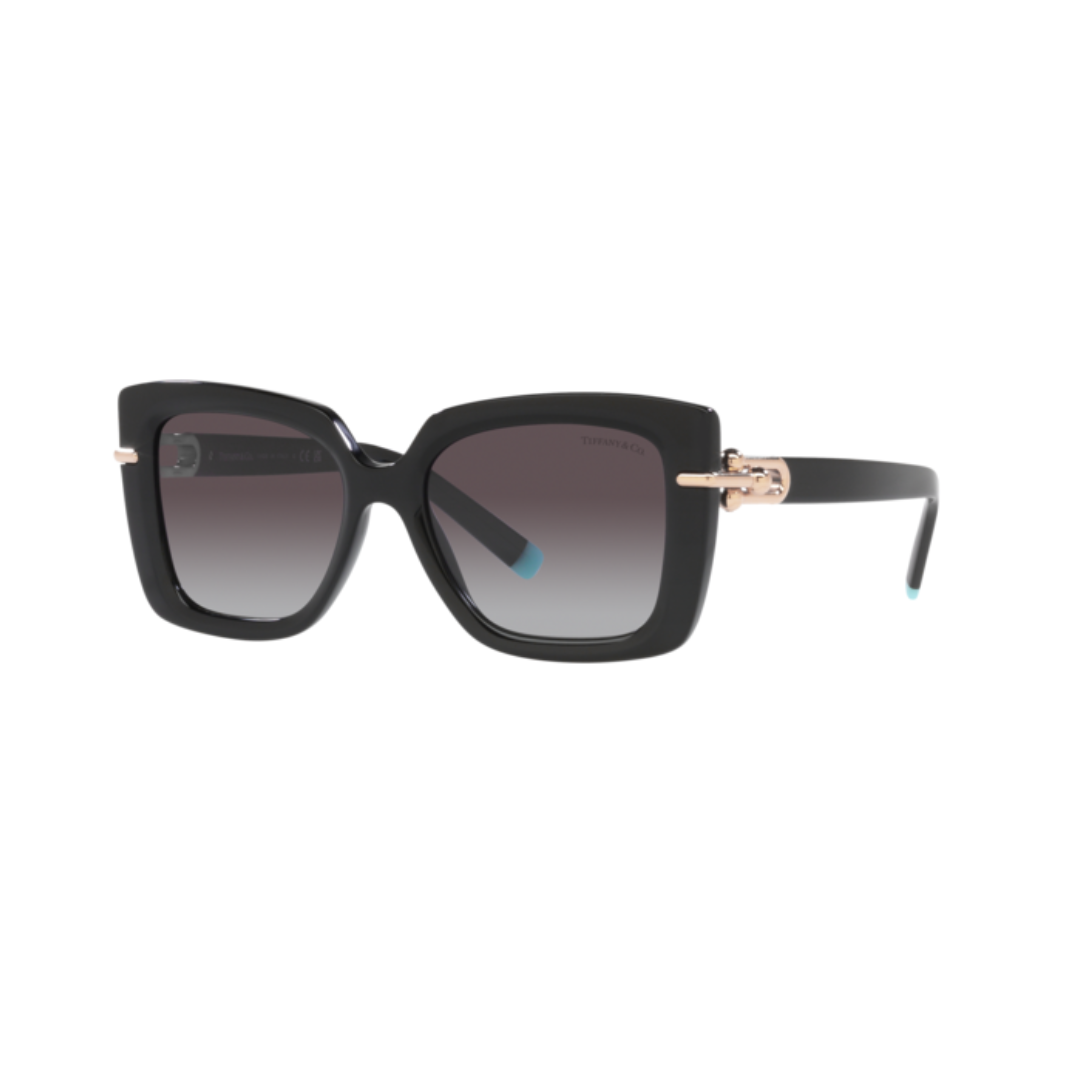 Tiffany & Co TF 4199 80013C Sunglasses
