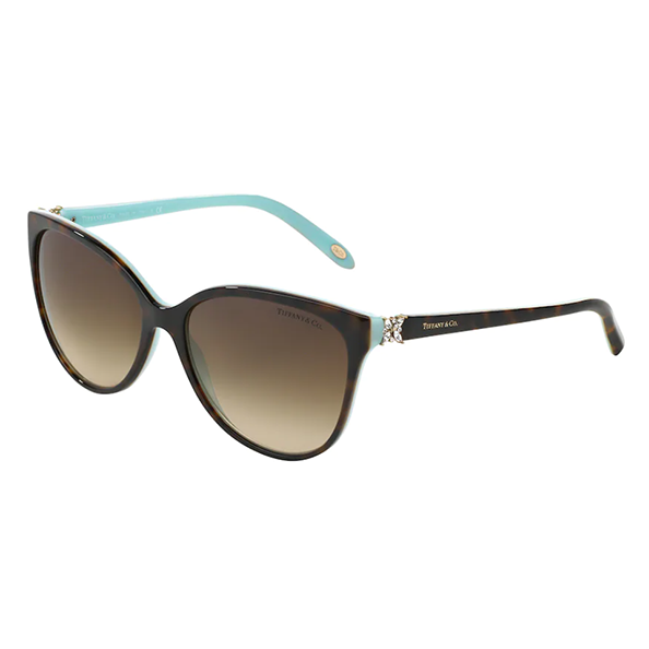 Tiffany & Co TF 4089 81343B Sunglasses