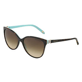 Tiffany & Co TF 4089 81343B Sunglasses